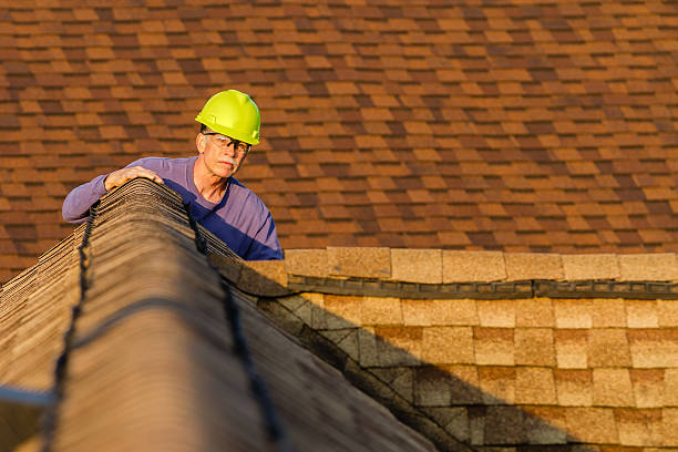Best Roof Gutter Cleaning  in East Pasadena, CA